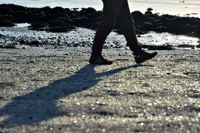 Low section of man walking on shore