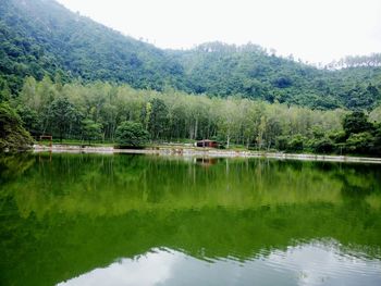 Scenic view of lake by trees against sky