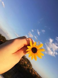 Close-up of hand holding flower