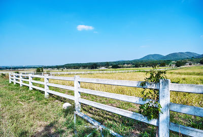 Fence on field against sky