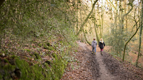 Rear view of father and son walking on footpath in forest