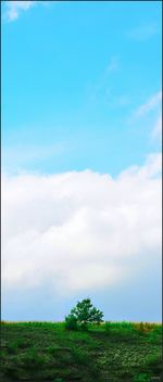 Scenic view of grassy field against cloudy sky