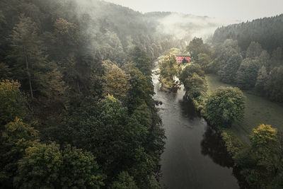 High angle view of river amidst trees in forest