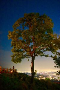 Tree by building against sky during autumn