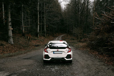 Cars on road in forest