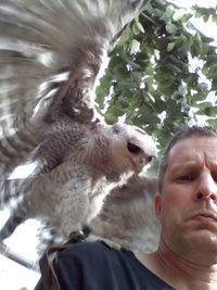 Low angle view of eagle against blurred background