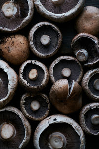 Full frame shot of mushrooms