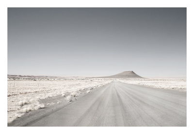 Empty road along trees