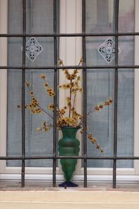 Plants seen through glass window of building