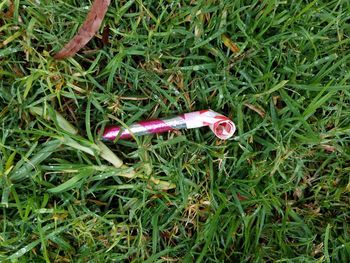 High angle view of cigarette on field