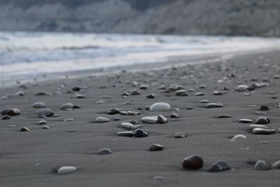 Surface level of wet sand on beach