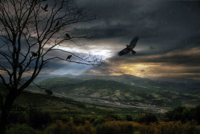 Scenic view of birds in rain