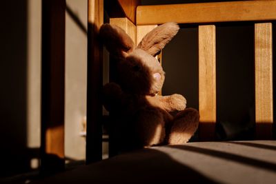 Stuffed toy on chair at home