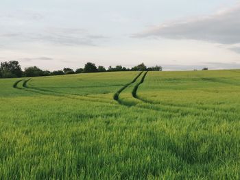 Scenic view of farm against sky