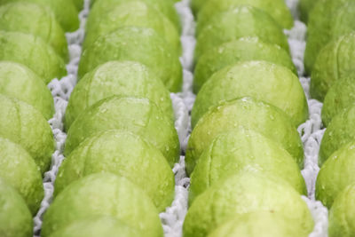 Full frame shot of water drops on leaves