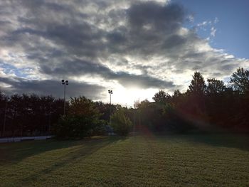 Trees on field against sky during sunset