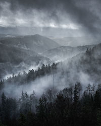 Panoramic view of trees and mountains against sky