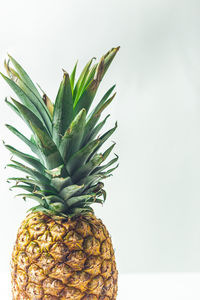 Close-up of fruit on table against white background