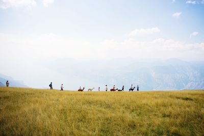 Scenic view of grassy field against cloudy sky