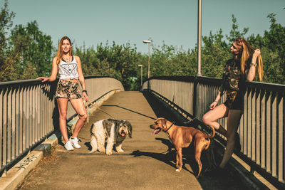 Young women with dogs standing on footbridge against clear sky during sunny day