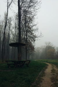 Bare trees on grassy field