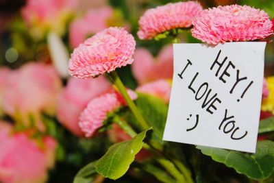 Close-up of i love you note against flowers