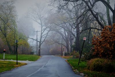 Road amidst trees against sky