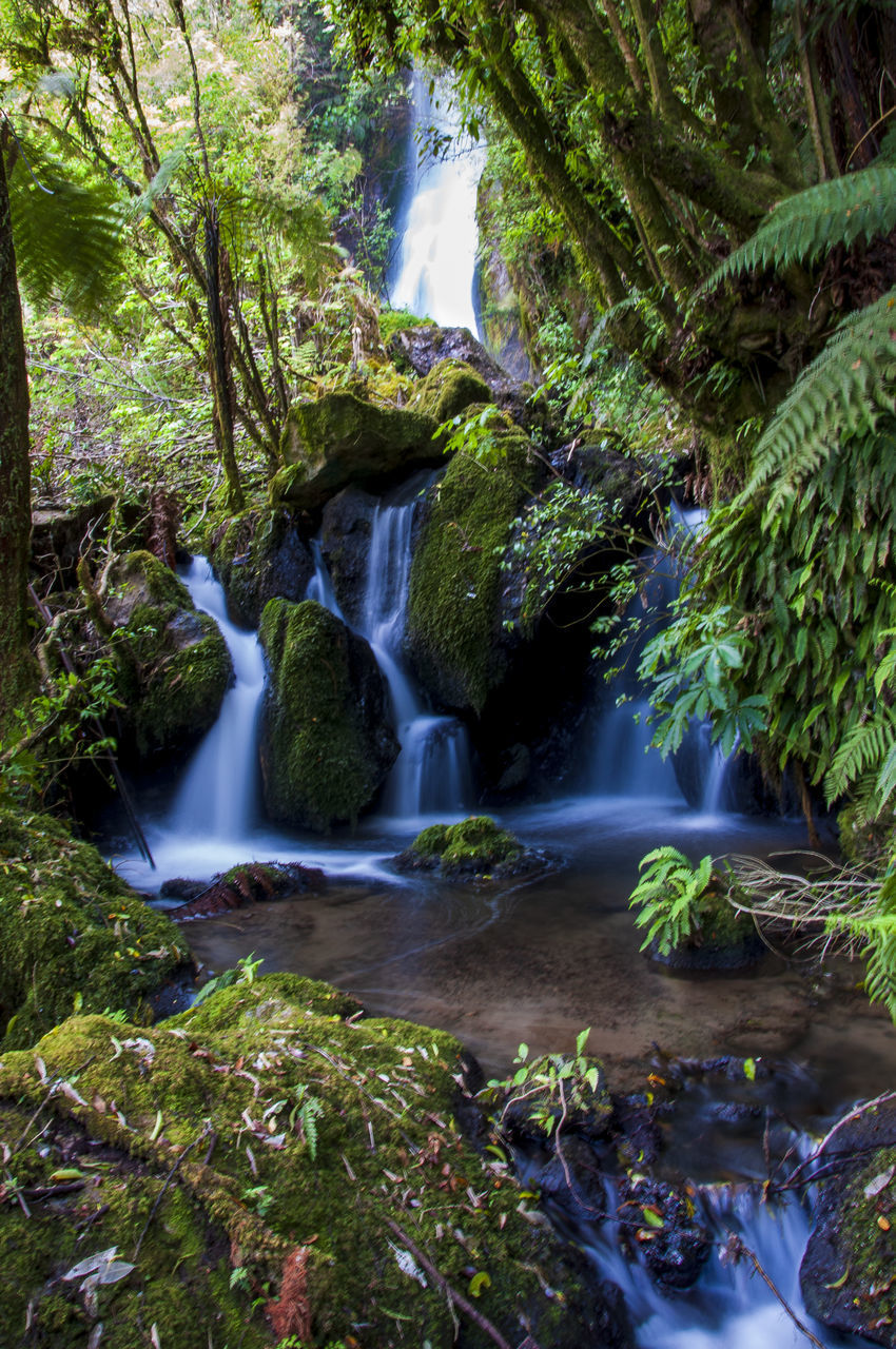 SCENIC VIEW OF WATERFALL