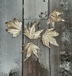 Close-up of wooden plank