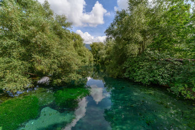 Scenic view of waterfall in forest against sky