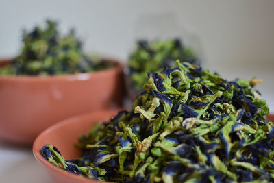 Close-up of vegetables on table