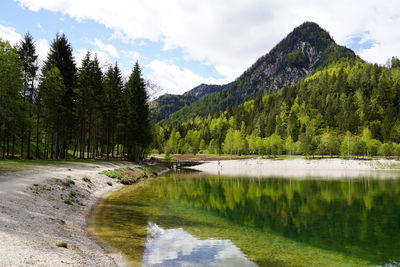 Scenic view of lake by trees against sky