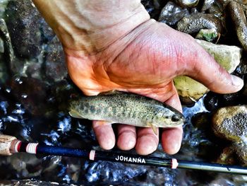 Close-up of man holding fish