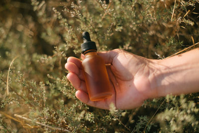 Cropped hand holding bottle over plants