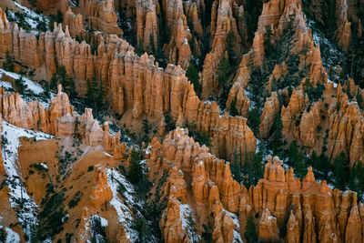 Far away zoom shot of bryce canyon national park of the hoodoos