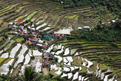 High angle view of agricultural field