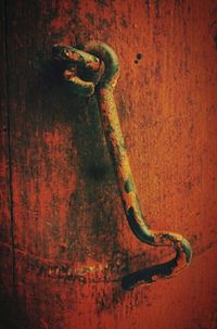 Close-up of carving on wall