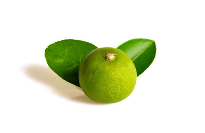 Close-up of fruits against white background