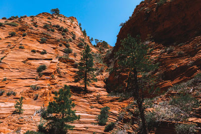 Rock formation amidst trees against sky