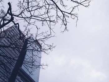 Low angle view of bare tree against sky