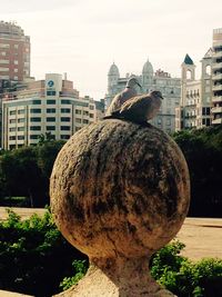 Close-up of sculpture in city