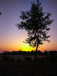 Silhouette tree on field against sky during sunset