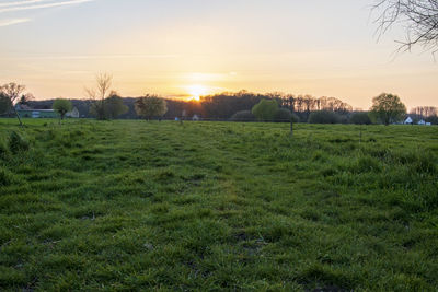 Scenic view of field against sky during sunset