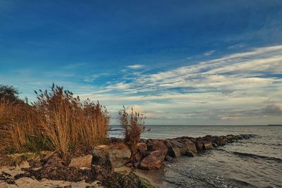 Scenic view of sea against sky