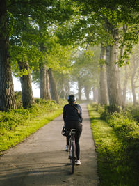 Rear view of man riding bicycle on road