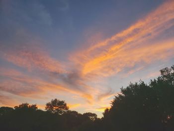 Low angle view of silhouette trees against sky during sunset