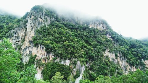 Panoramic view of trees and mountains against sky