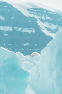 Aerial view of a sea