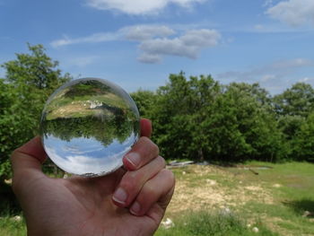 Cropped image of hand holding crystal ball against trees