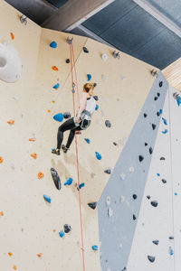 Back view full body of unrecognizable sportive female in activewear climbing on wall with grips during training in modern gym